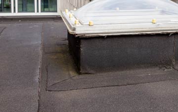 disadvantages of Hodgeston flat roofs