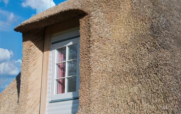 Hodgeston thatch roof disadvantages