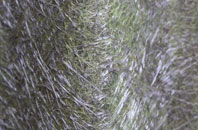 Hodgeston fibreglass roof work